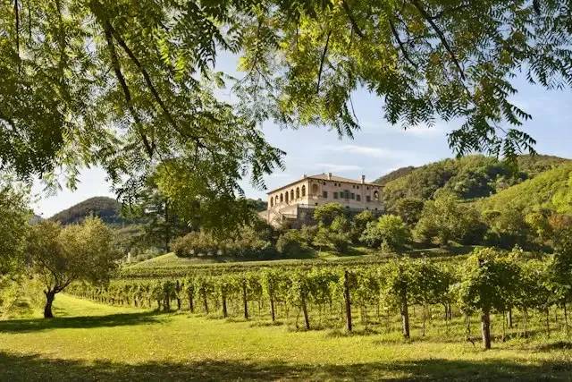 Villa dei Vescovi – foto © FAI – Fondo Ambiente Italiano