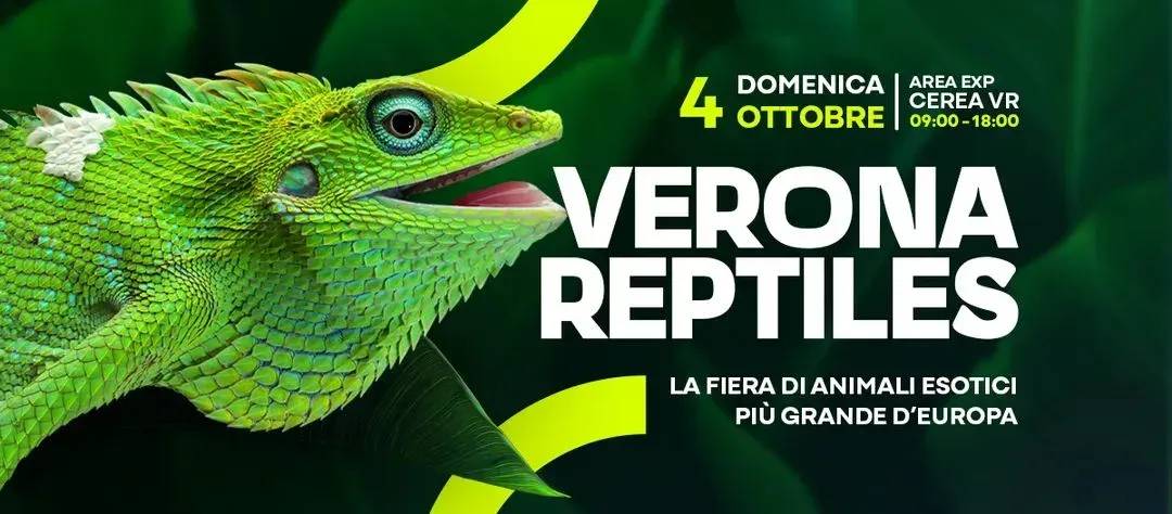 Locandina Verona Reptiles 2026 a Verona (Verona)