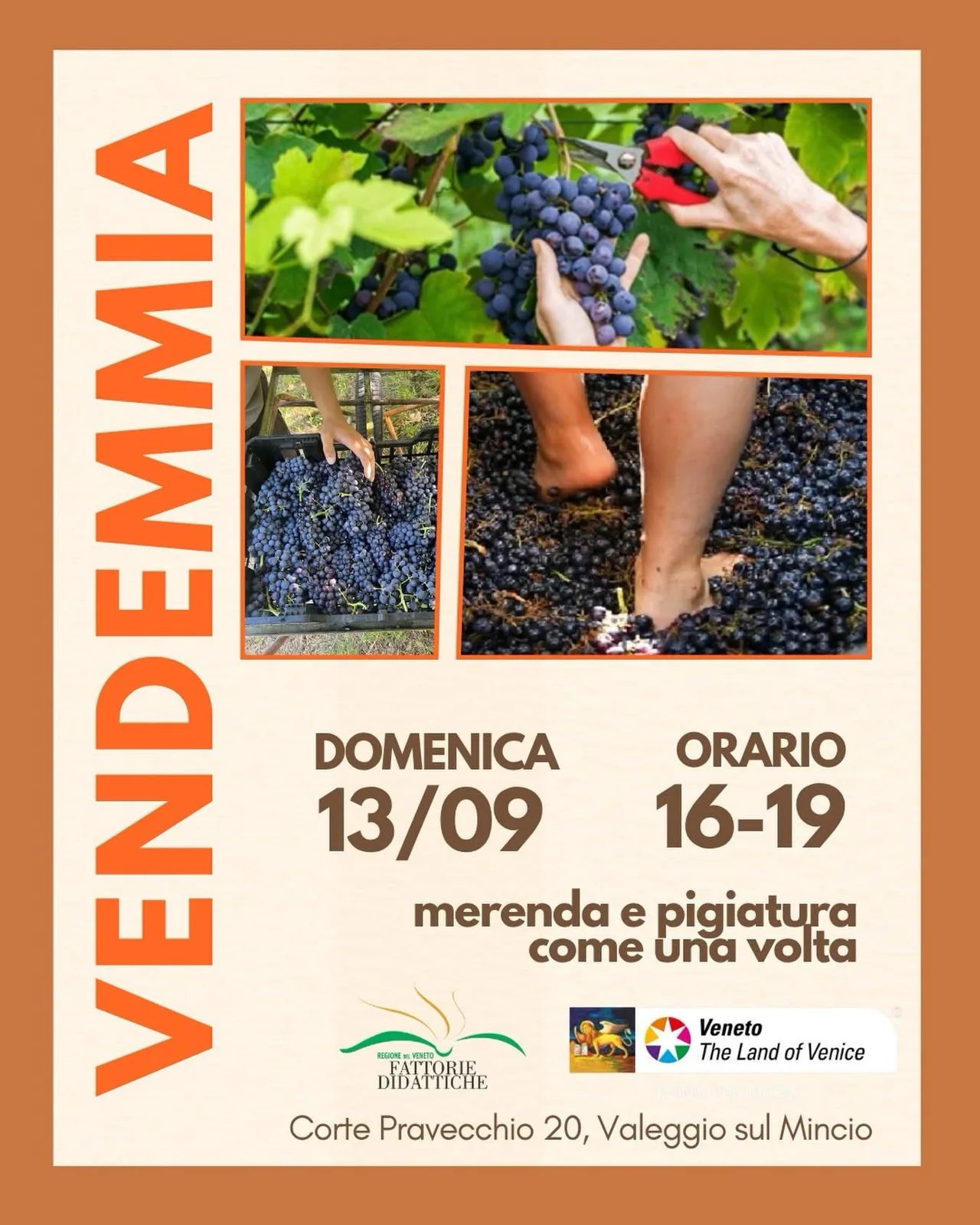 Locandina Vendemmia 2026 a Valeggio sul Mincio (Verona)