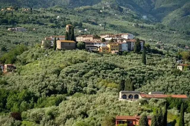 Colle di Buggiano – foto © FAI – Fondo Ambiente Italiano