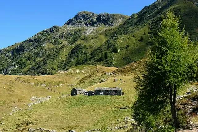 Alpe Pedroria e Alpe Madrera – foto © FAI – Fondo Ambiente Italiano