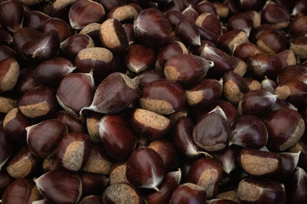 Locandina Festa delle castagne e dei ricordi a Castell'Arquato (Piacenza)