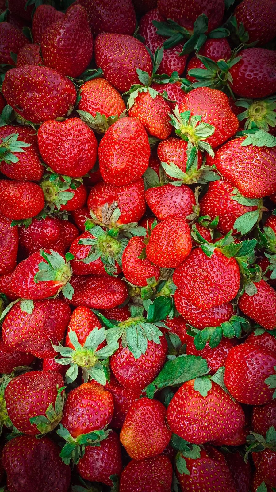Locandina Festa della Fragola a Bonavigo (Verona)