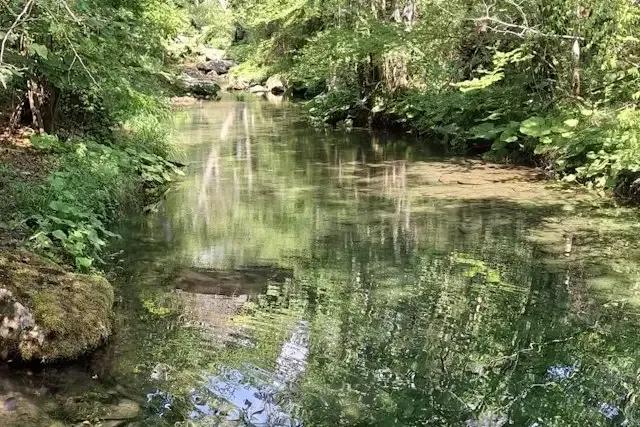 Passeggiata Naturalistica – foto © FAI – Fondo Ambiente Italiano