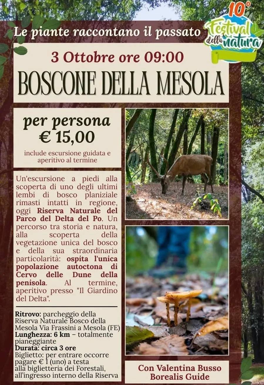 Locandina 10° Festival della Natura 2026 - Le piante raccontano il passato a Mesola (FE)