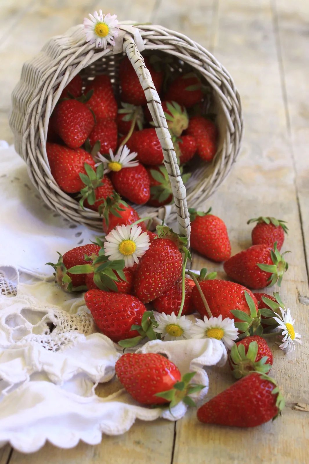 Locandina Francavilla Fiori e Fragole a Francavilla al Mare (Chieti)