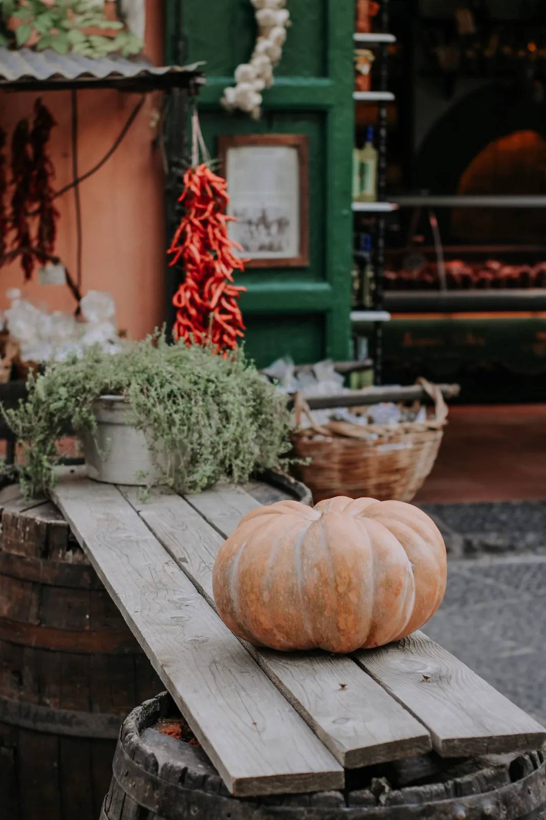 Locandina Sagra del Fiore di Zucca Fritto a San Miniato (Pisa)