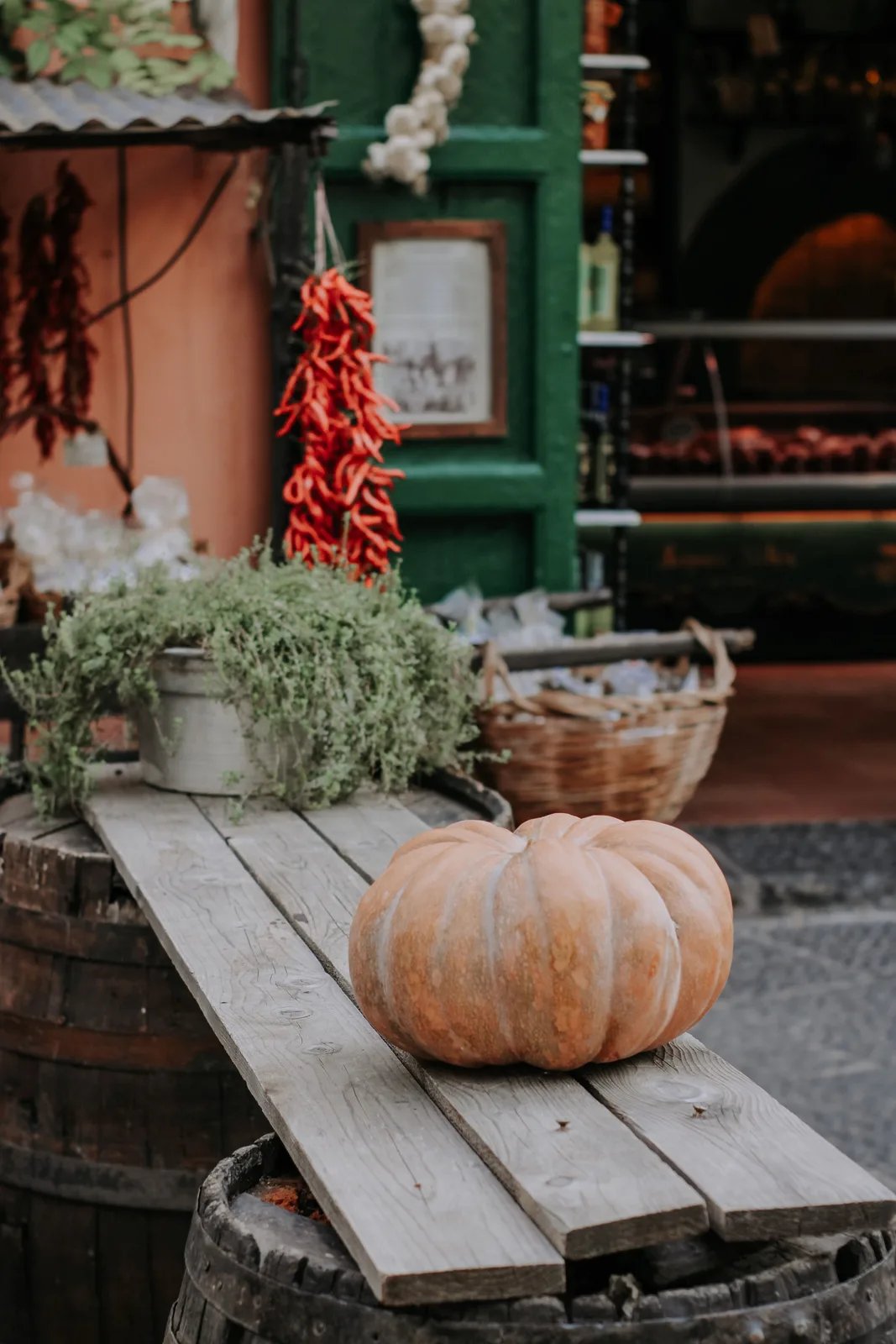 Locandina Sagra del Fiore di Zucca Fritto a San Miniato (Pisa)