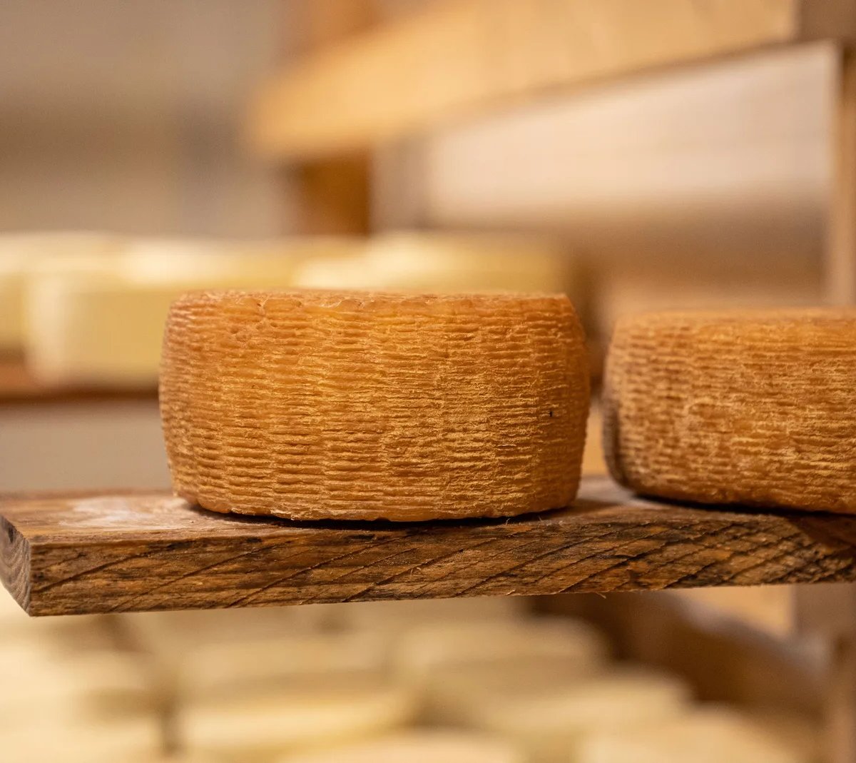 Locandina Fiera del cacio a Pienza (Siena)