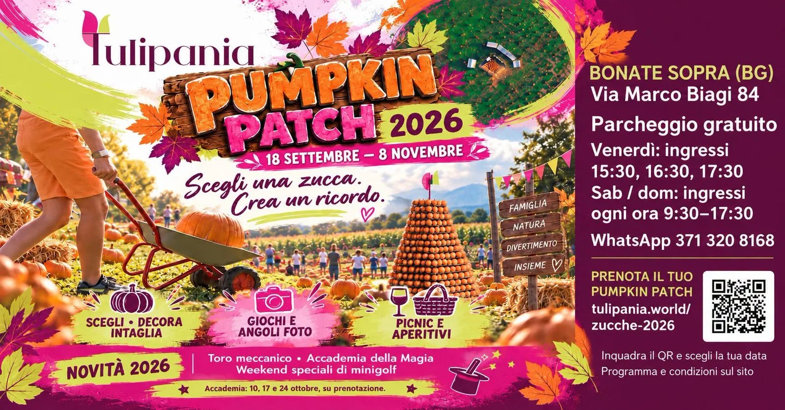 Accademia della Magia — Pumpkin Patch 2026
