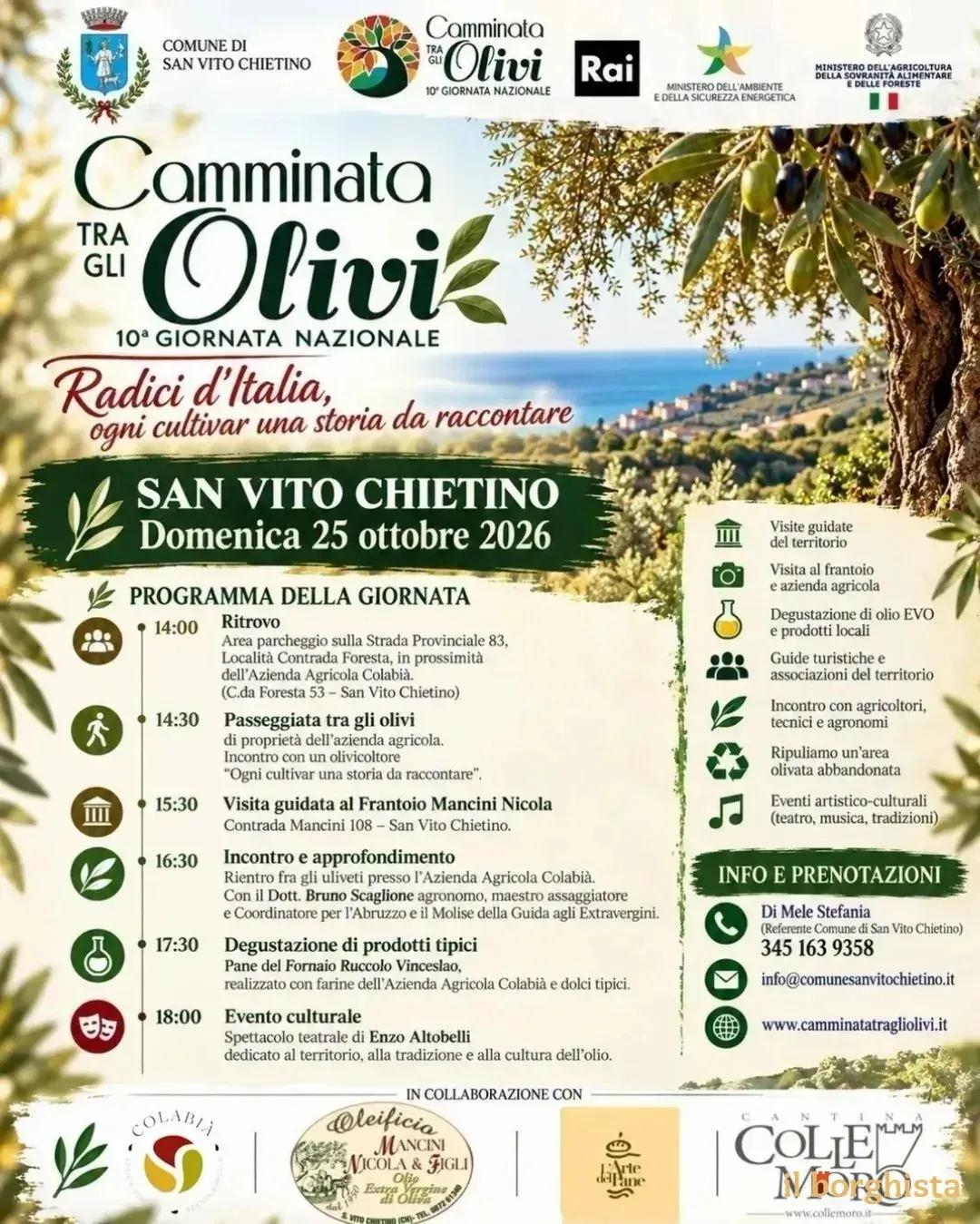 Locandina 10ª Camminata tra gli Olivi 2026 a San Vito Chietino (Chieti)