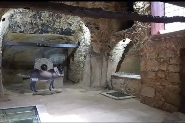 Frantoio di Mase, Frantoio Carrazza, Frantoio Lacorazza – foto © FAI – Fondo Ambiente Italiano