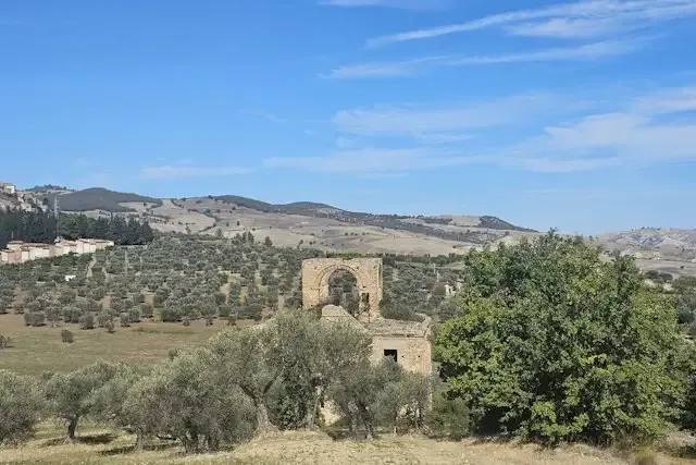 La Piana del Melograno e del Mandorleto – foto © FAI – Fondo Ambiente Italiano
