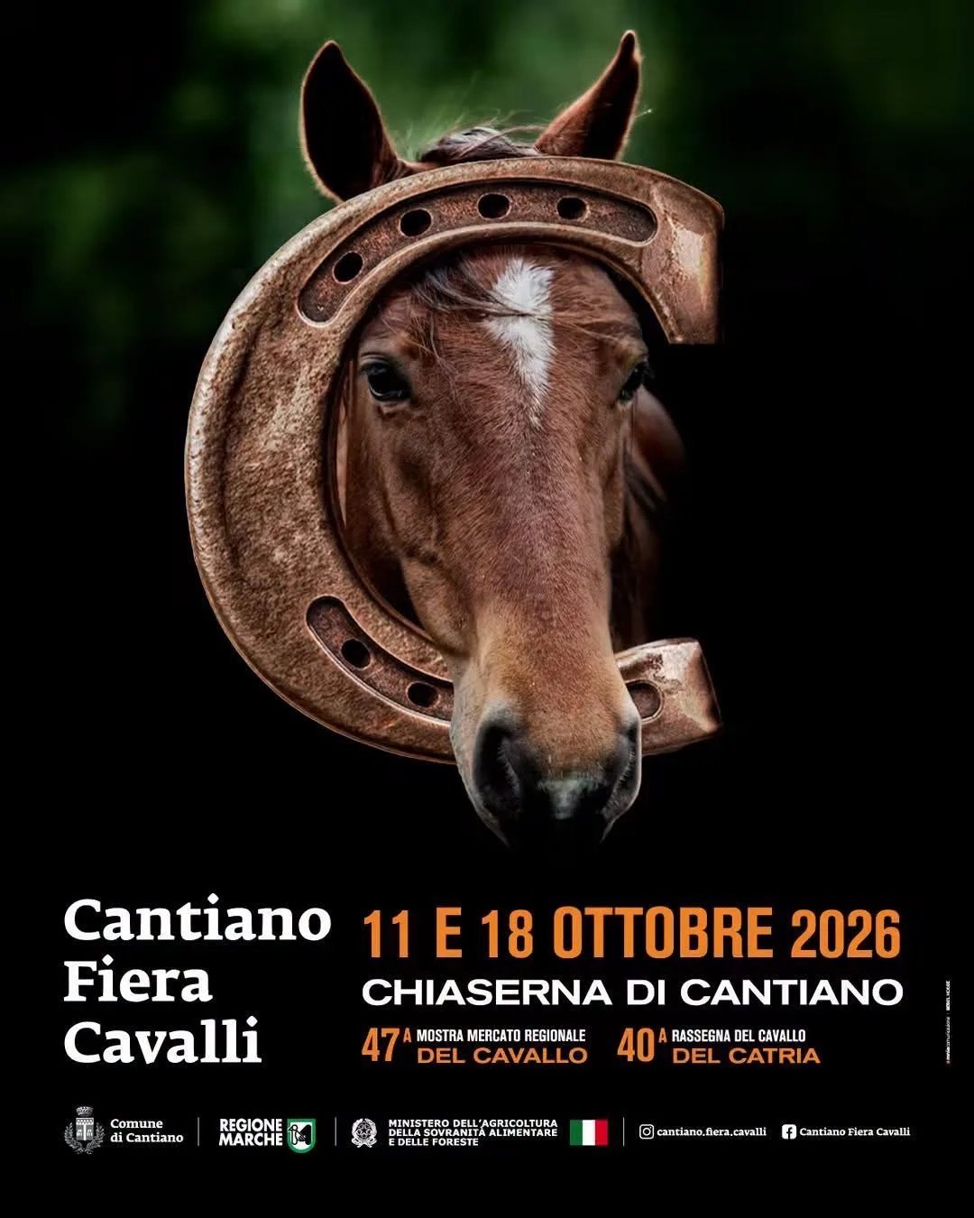Locandina 47ª Mostra Mercato Regionale del Cavallo 2026 a Cantiano (Pesaro e Urbino)