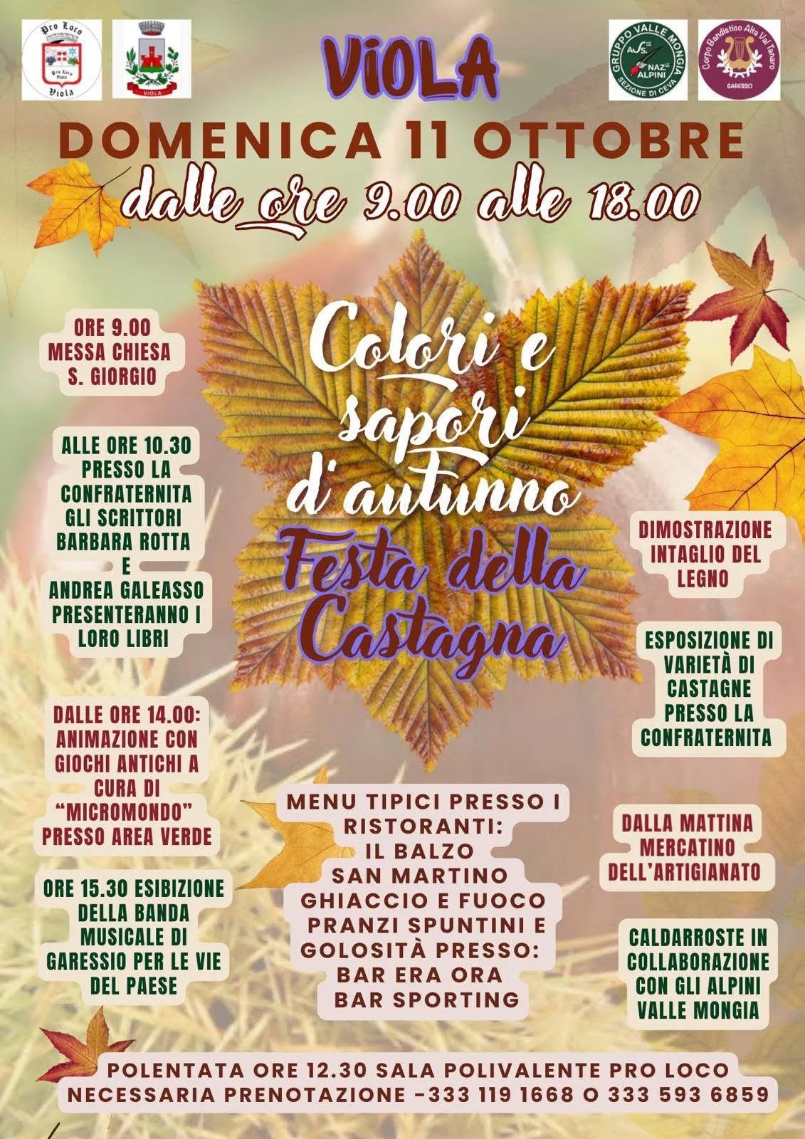 Locandina Festa della Castagna Viola 2026 a Viola (Cuneo)