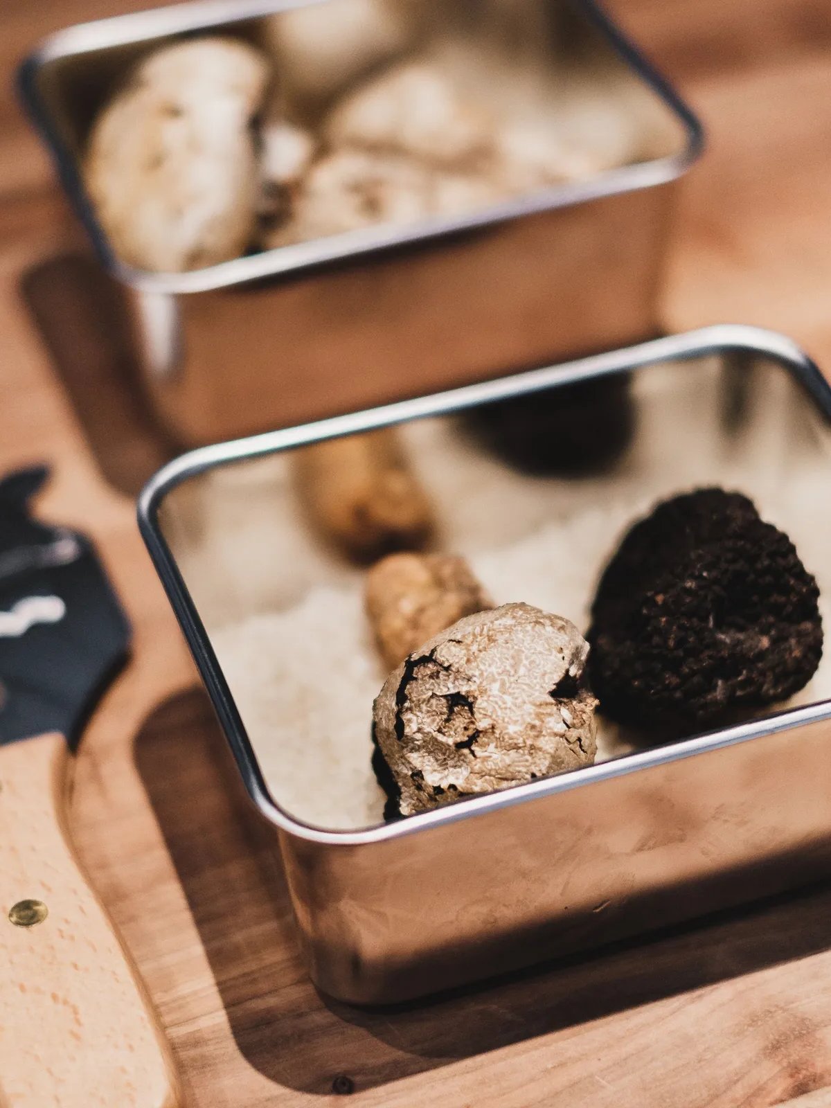 Locandina Sagra del tartufo bianco pregiato del Bidente a Civitella di Romagna (Forlì-cesena)