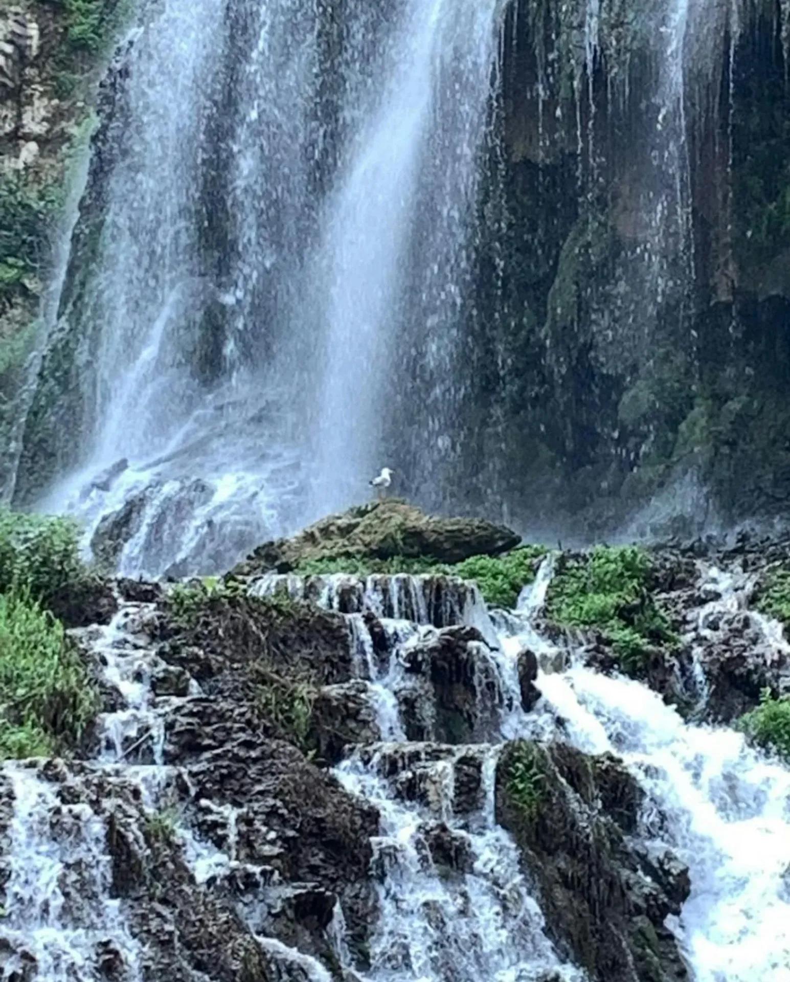 Dove l'acqua incontra la storia - una giornata alla scoperta di Villa Gregoriana – Villa Gregoriana, Tivoli (Roma). Foto: Villa Gregoriana / FAI
