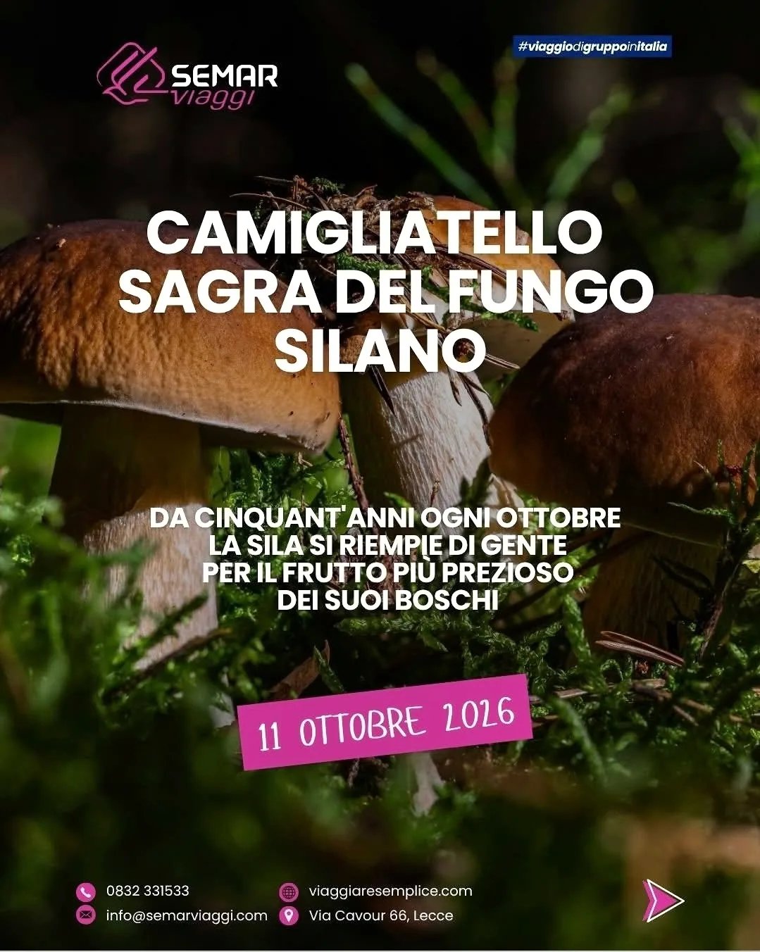 Locandina Sagra del Fungo Silano 2026 a Spezzano della Sila (CS)