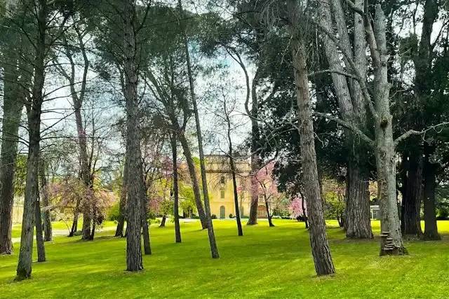 Villa Fontedamo e il Suo Parco – foto © FAI – Fondo Ambiente Italiano