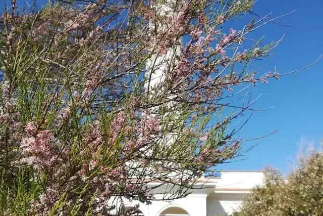 Faro di San Vito lo Capo – foto © FAI – Fondo Ambiente Italiano