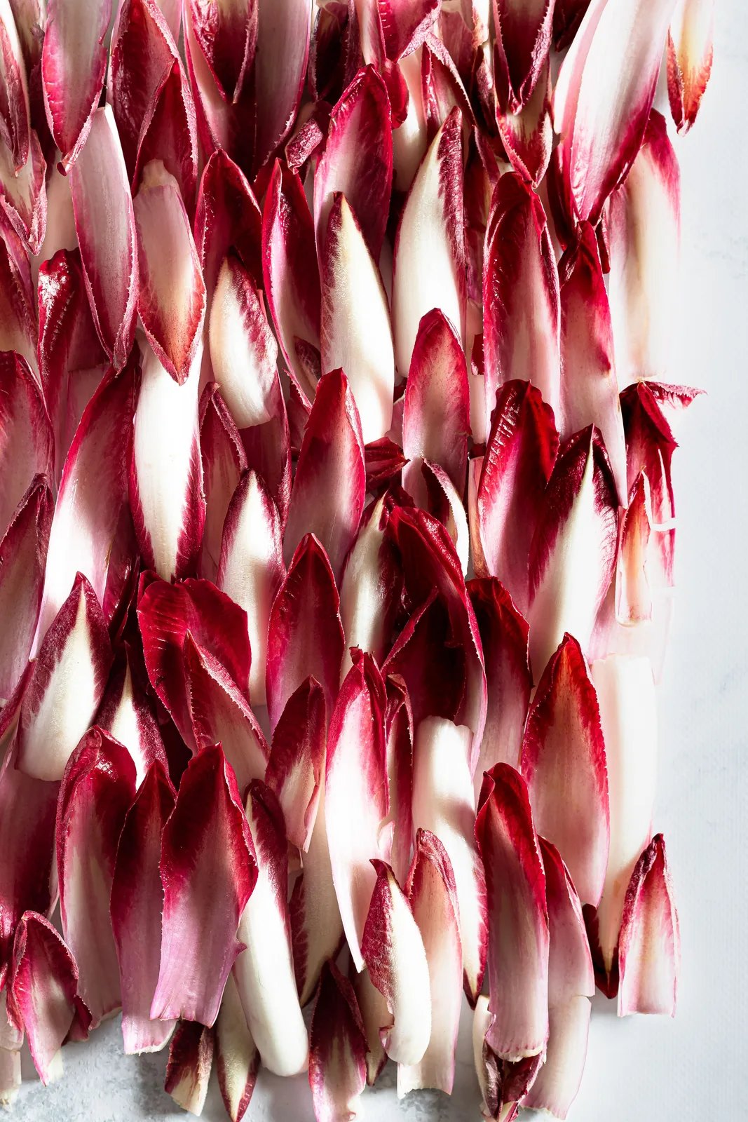 Locandina Festa del radicchio a Asigliano Veneto (Vicenza)