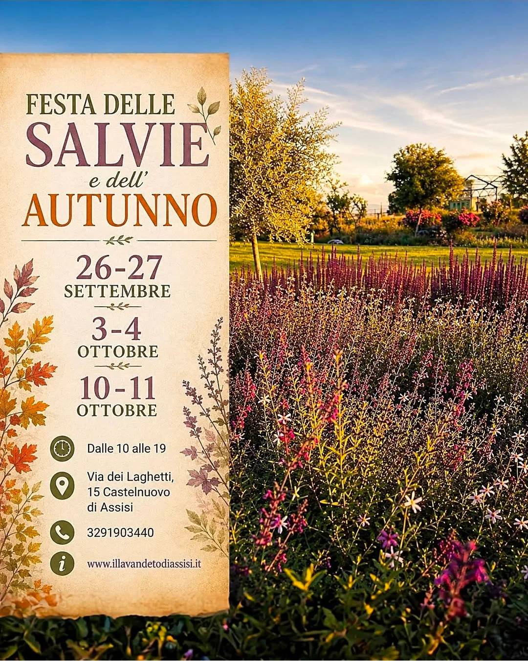 Locandina Festa delle Salvie e dell'Autunno 2026 a Assisi (Perugia)