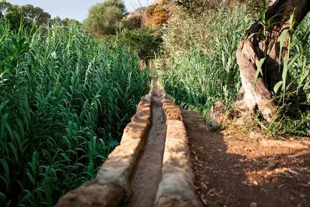 Giardino della Kolymbethra – foto © FAI – Fondo Ambiente Italiano