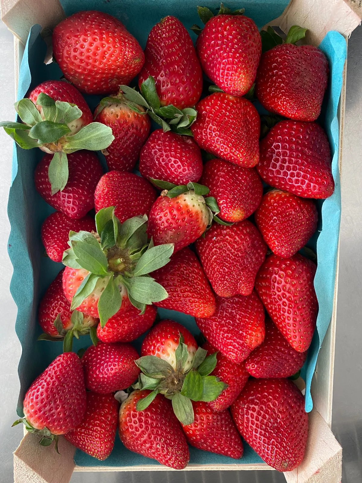 Locandina Festival della Fragola a Terricciola (Pisa)