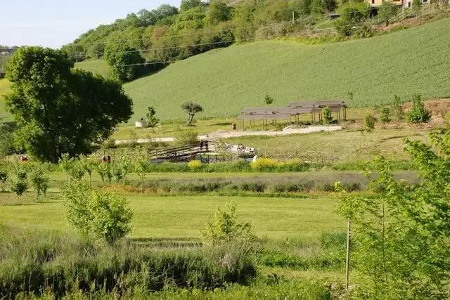 Orto Botanico Selva di Gallignano – foto © FAI – Fondo Ambiente Italiano