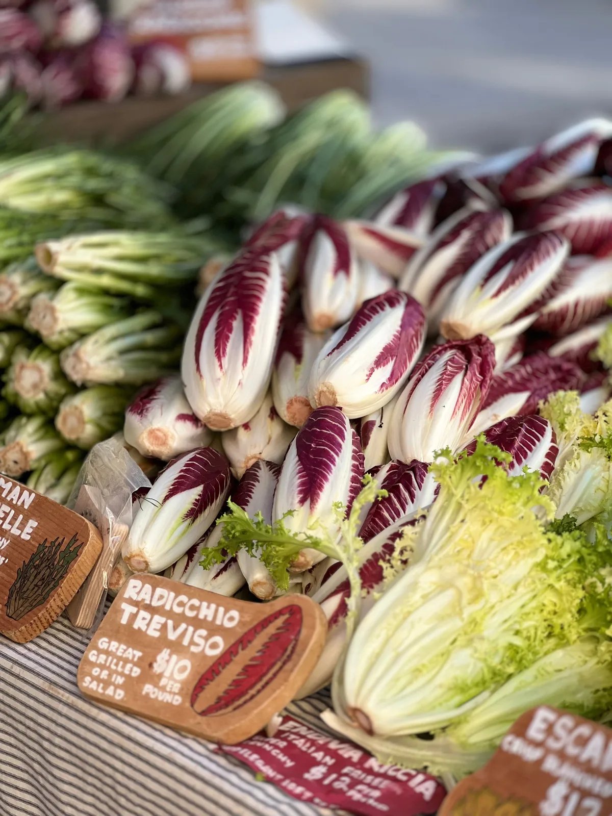 Locandina Festa del radicchio rosso di Treviso IGP a Scorzè (Venezia)