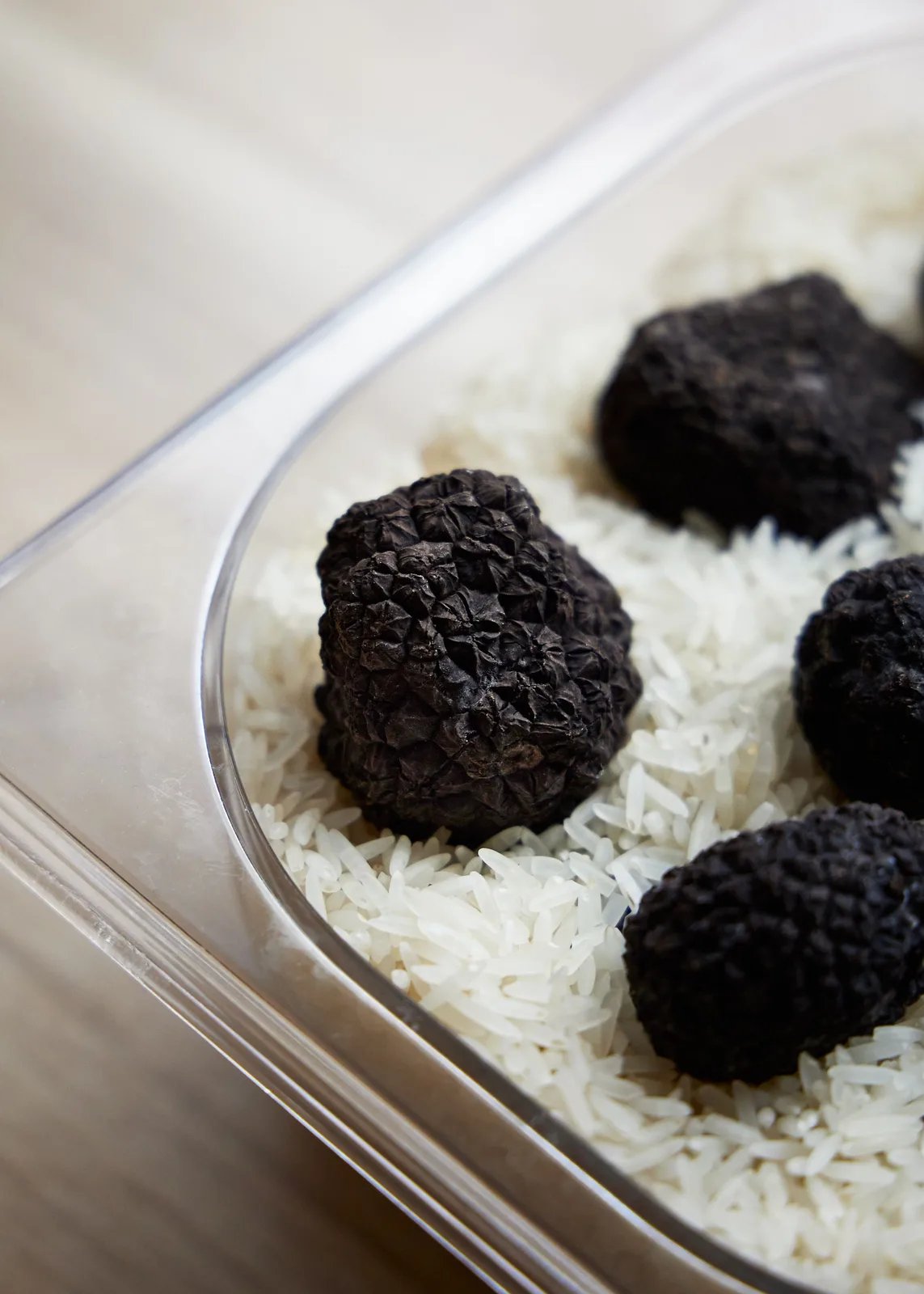 Locandina Fiera Nazionale del tartufo bianco pregiato di Pergola a Pergola (Pesaro e urbino)