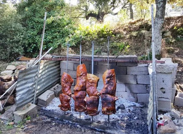 Locandina Festa del cinghiale a Brisighella (Ravenna)