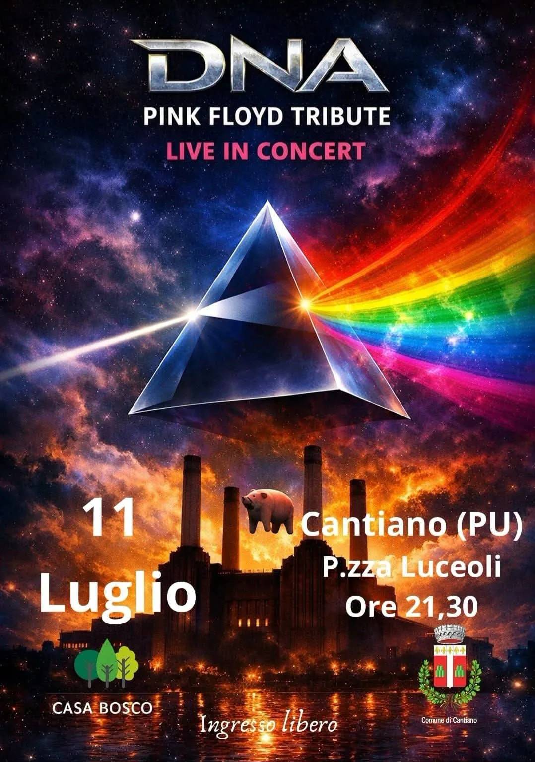 Locandina DNA Pink Floyd Tribute Live in Concert 2026 a Cantiano (Pesaro e urbino)