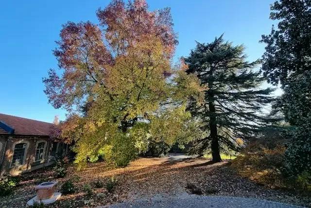 Parco di Villa Hermann – foto © FAI – Fondo Ambiente Italiano