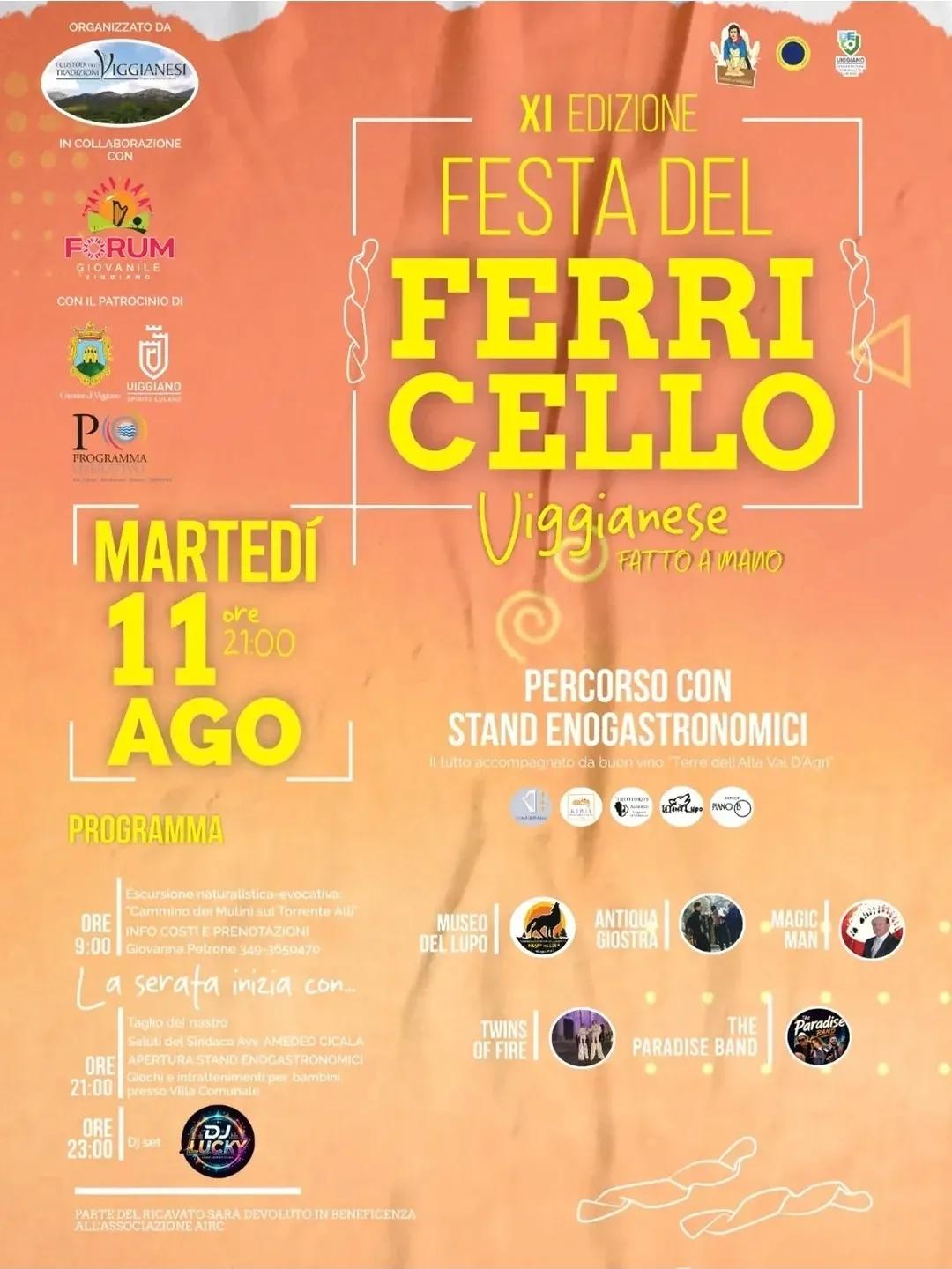 Festa del Ferricello Viggianese — Viggiano