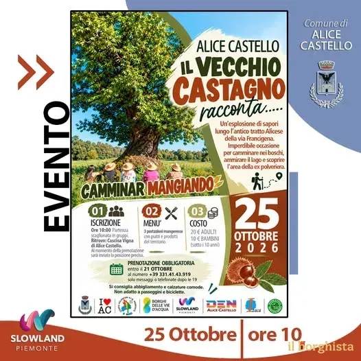 Locandina Il Vecchio Castagno racconta... 2026 a Alice Castello (Vercelli)