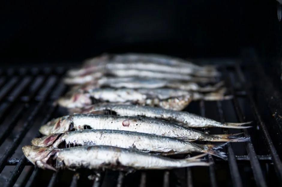 Locandina Sagra del Pesce Azzurro e del Pinzino a Ferrara (Ferrara)