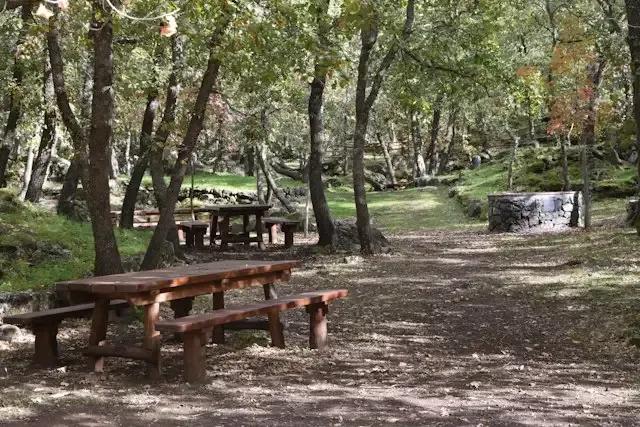 Parco Sciarone – foto © FAI – Fondo Ambiente Italiano