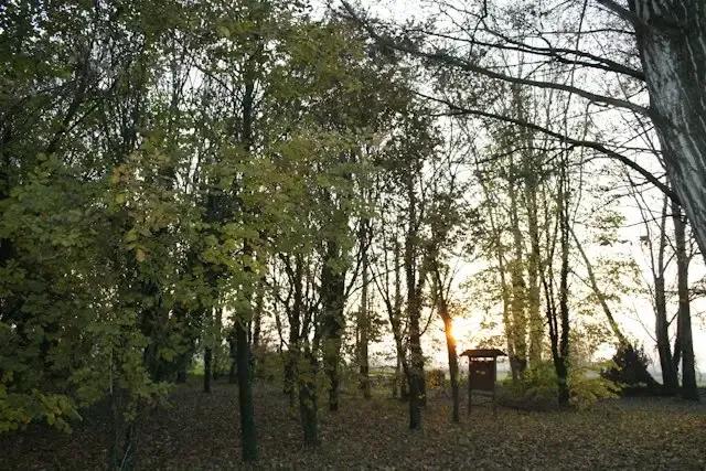 Bosco Spino: un Tesoro Verde da Scoprire – foto © FAI – Fondo Ambiente Italiano