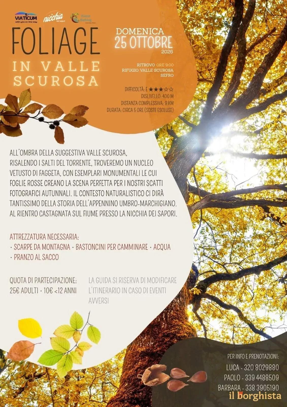 Locandina Viaticum Foliage in Valle Scurosa 2026 a Sefro (Macerata)