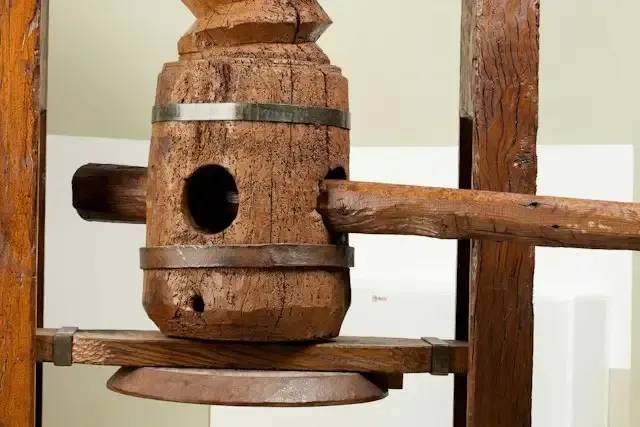Museo Agorà Orsi Coppini – foto © FAI – Fondo Ambiente Italiano