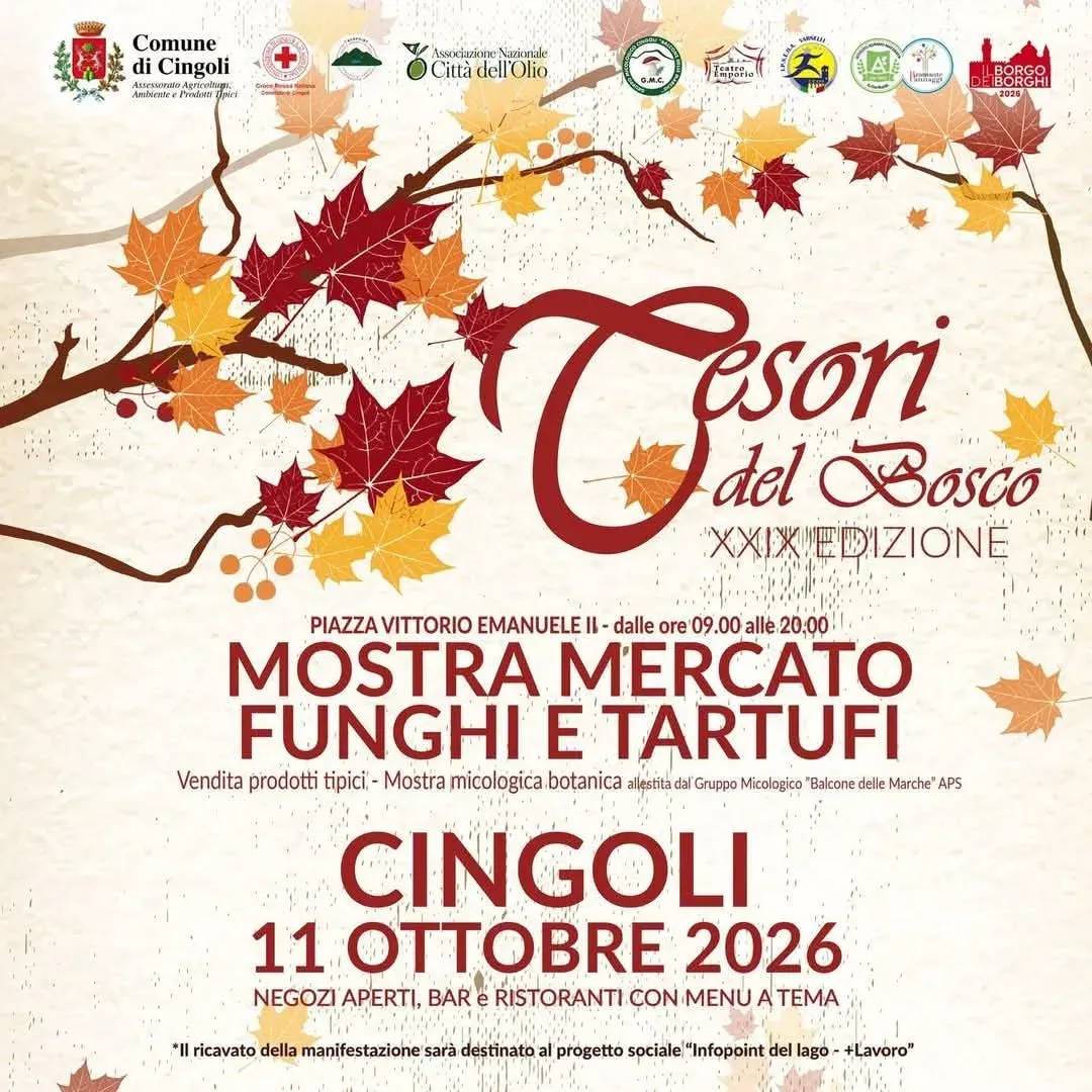 Locandina XXIX Edizione Tesori del Bosco 2026 a Cingoli (Macerata)