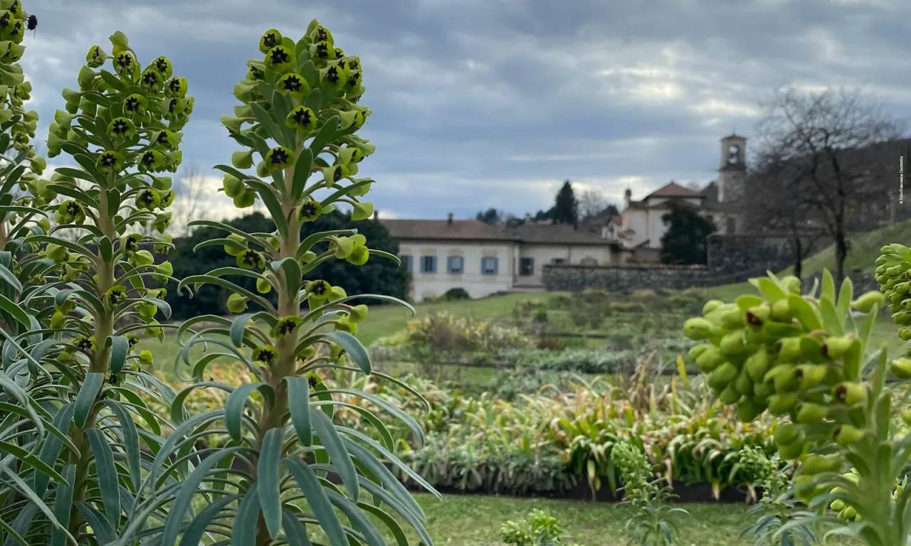 Esplorando la Biodiversità – Villa Della Porta Bozzolo, Casalzuigno (Varese). Foto: FAI / Archivio FAI