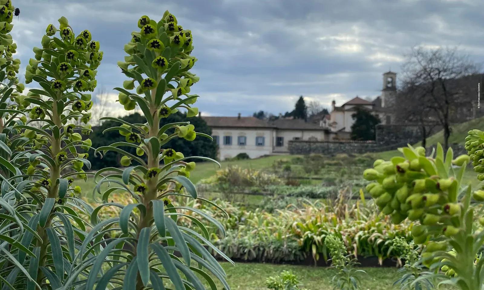 Esplorando la Biodiversità – Villa Della Porta Bozzolo, Casalzuigno (Varese). Foto: FAI / Archivio FAI