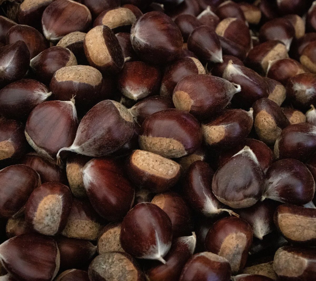 Locandina Castagne al borgo a Cupra Marittima (Ascoli piceno)