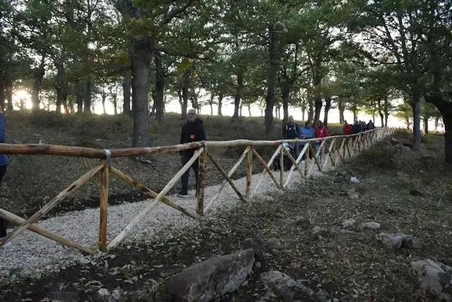 Bosco Guardiola – foto © FAI – Fondo Ambiente Italiano