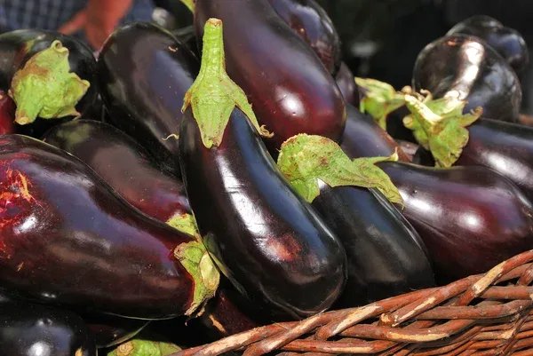 Locandina MarangiAmo a Taviano (Lecce)