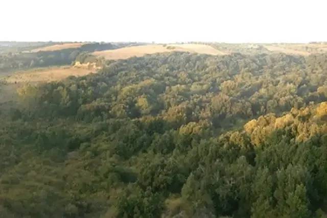 Bosco Bufalara: tra Storia e Natura – foto © FAI – Fondo Ambiente Italiano