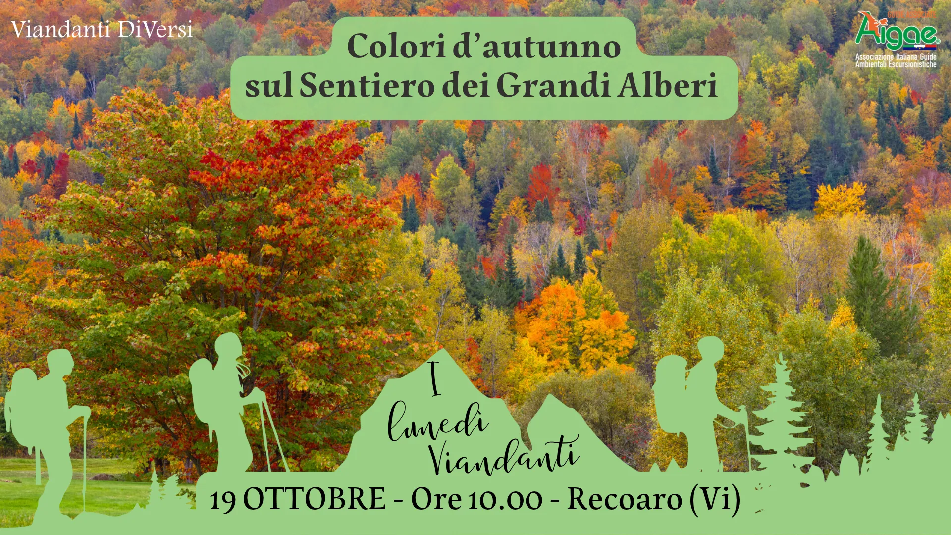Colori d'autunno sul Sentiero dei Grandi Alberi