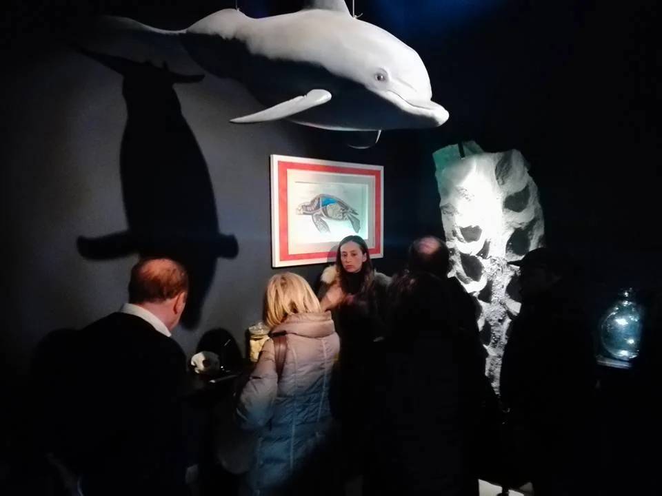 Museo del Mare